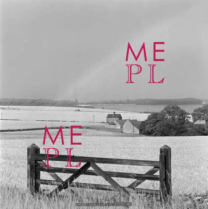 : Gate In A Field : Gate In A Field