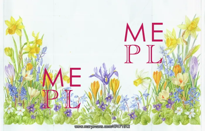 : Gate fold Easter design with spring flowers : Gate fold Easter design with spring flowers