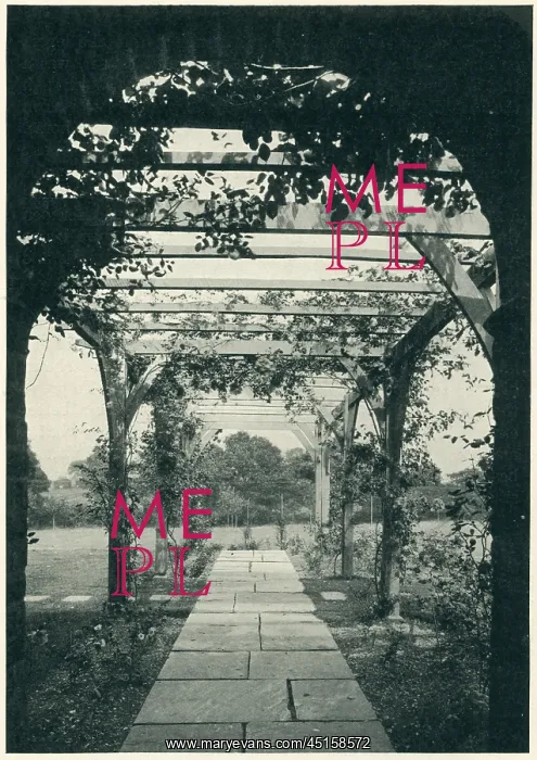 : The Gate House Pergola, Limpsfield : The Gate House Pergola, Limpsfield