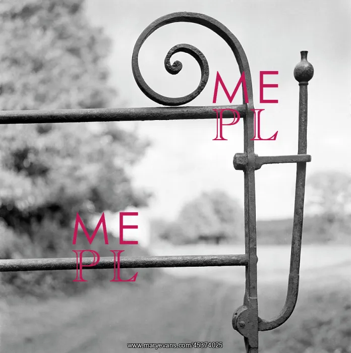 : Gate latch : Gate latch