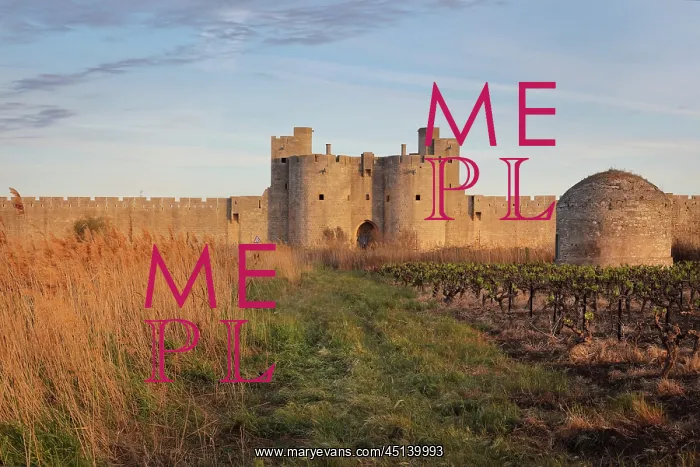: Gate of the Queen in Aigues-Mortes, Languedoc-Roussillon : Gate of the Queen in Aigues-Mortes, Languedoc-Roussillon