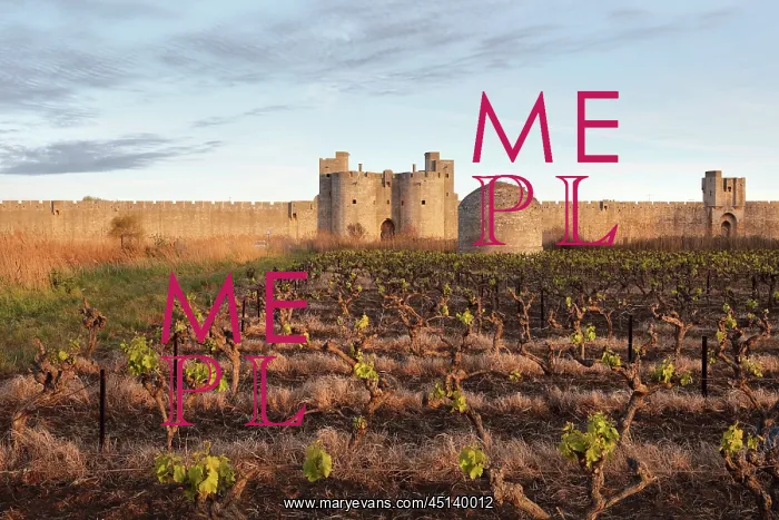 : Gate of the Queen in Aigues-Mortes, Languedoc-Roussillon : Gate of the Queen in Aigues-Mortes, Languedoc-Roussillon