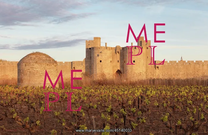 : Gate of the Queen in Aigues-Mortes, Languedoc-Roussillon : Gate of the Queen in Aigues-Mortes, Languedoc-Roussillon