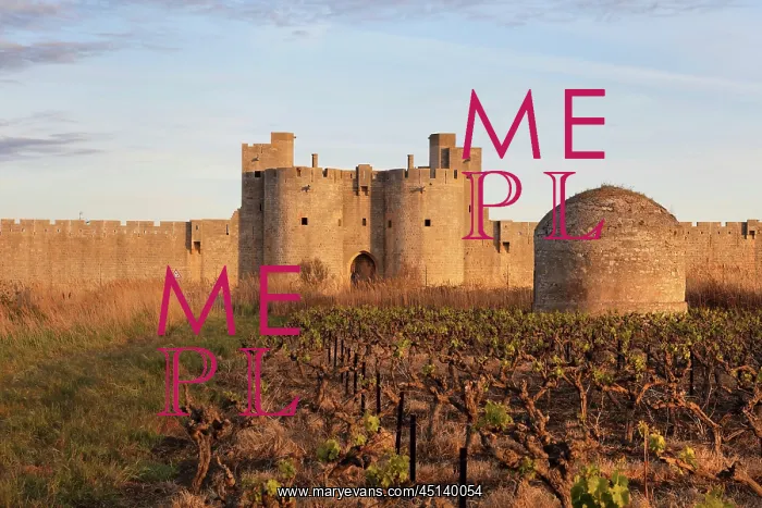 : Gate of the Queen in Aigues-Mortes, Languedoc-Roussillon : Gate of the Queen in Aigues-Mortes, Languedoc-Roussillon