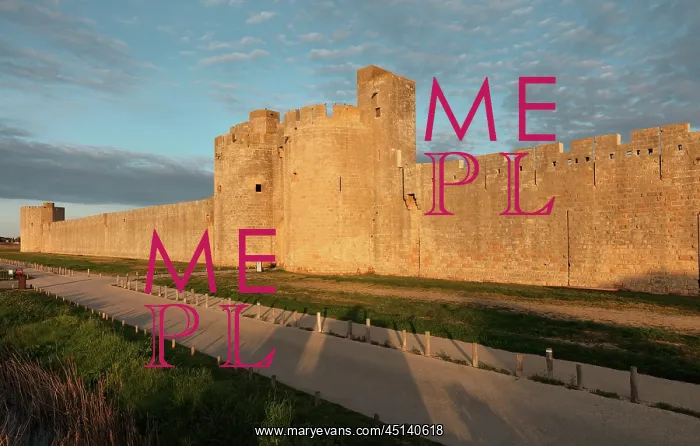 : Gate of the Queen in Aigues-Mortes, Languedoc-Roussillon : Gate of the Queen in Aigues-Mortes, Languedoc-Roussillon