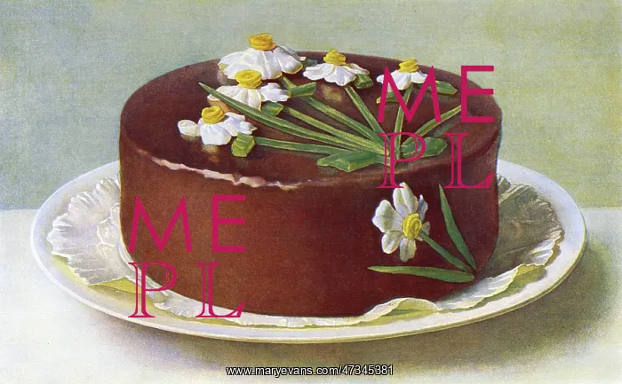  : GATEAU DE CHOCOLAT