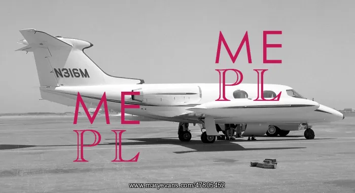  : Gates Learjet 24 N316M