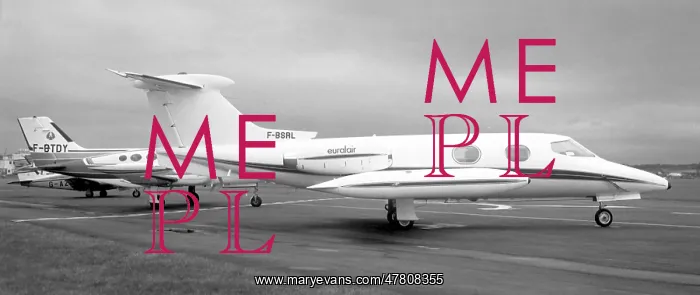 : Gates Learjet 24B F-BSRL : Gates Learjet 24B F-BSRL