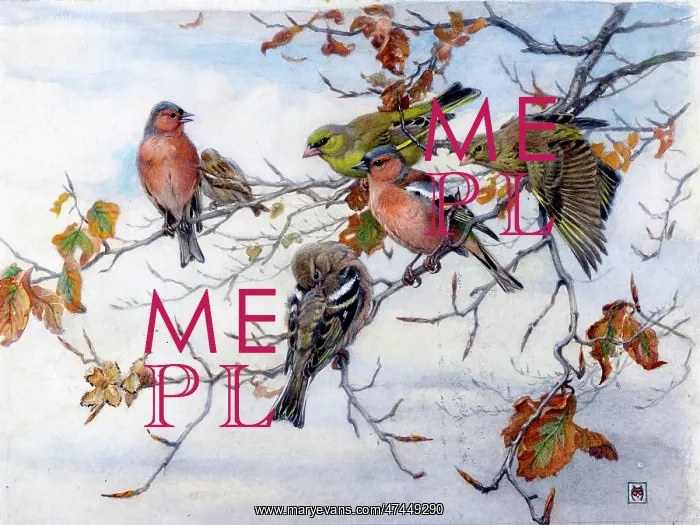  : A Gathering of Finches