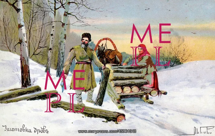  : Gathering firewood - Russia