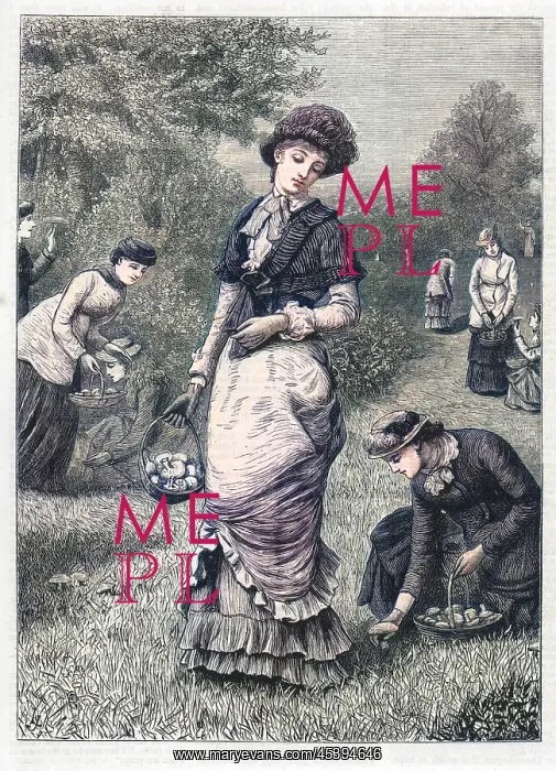 : Gathering Mushrooms 1886 : Gathering Mushrooms 1886