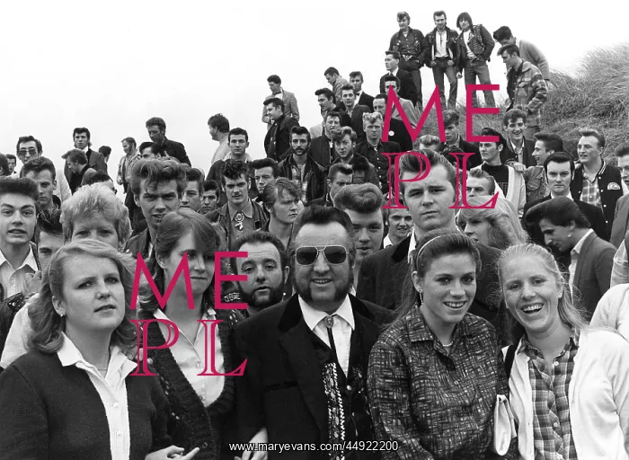  : Gathering of rock and roll fans