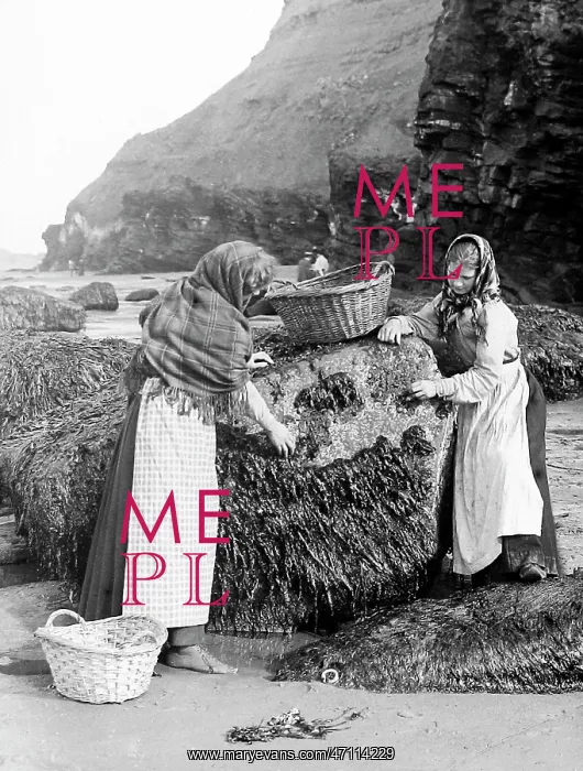  : Gathering shellfish, Whitby, Victorian period