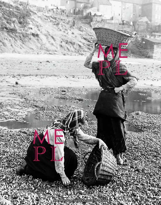  : Gathering shellfish, Whitby, Victorian period