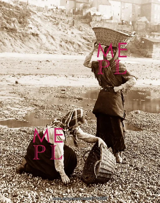  : Gathering shellfish, Whitby, Victorian period