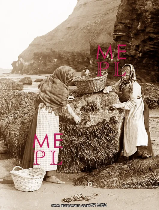  : Gathering shellfish, Whitby, Victorian period