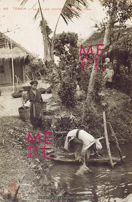 : Gathering water in the Vietnamese Countryside : Gathering water in the Vietnamese Countryside