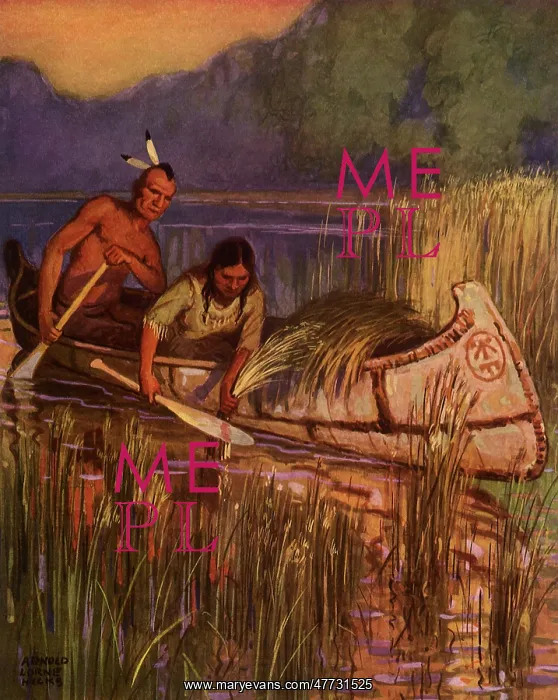  : Gathering Wild Rice