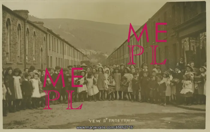 : Gathering at Yew Street : Gathering at Yew Street