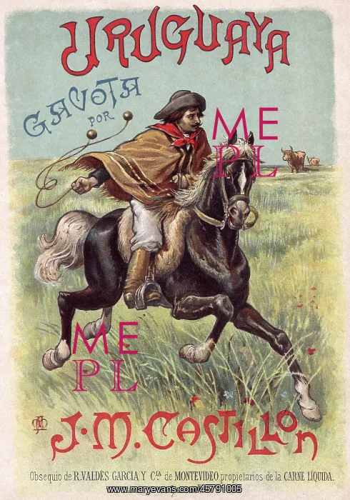 : GAUCHO USING BOLAS : GAUCHO USING BOLAS