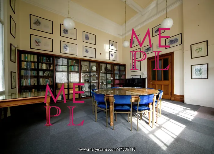 : The Gavin De Beer room : The Gavin De Beer room