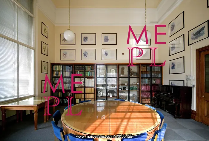 : The Gavin De Beer room : The Gavin De Beer room