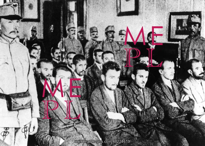 : Gavrilo Princip, 1914 : Gavrilo Princip, 1914