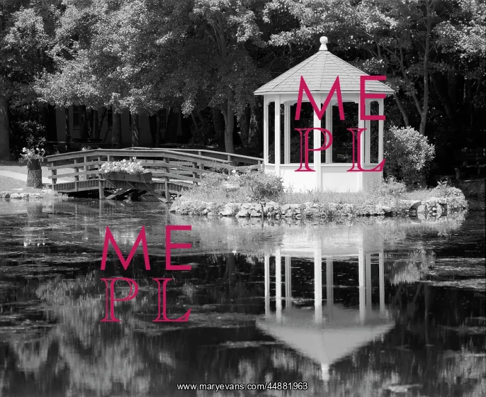  : Gazebo Reflected In Pond Seaville