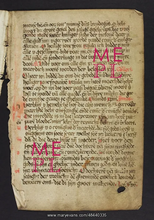 : Gebetbuch (Fragment) : Gebetbuch (Fragment)