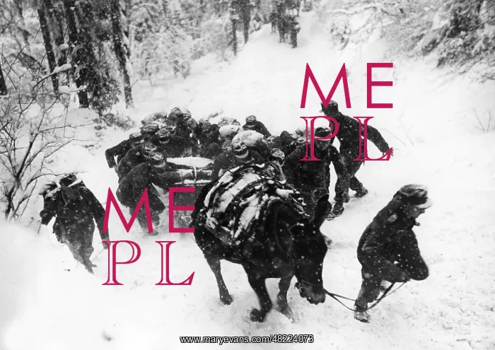: Gebirgsjaeger on a march : Gebirgsjaeger on a march