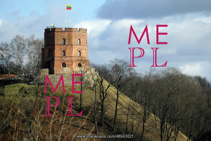: Gediminas Tower. Vilnius. Lithuania : Gediminas Tower. Vilnius. Lithuania