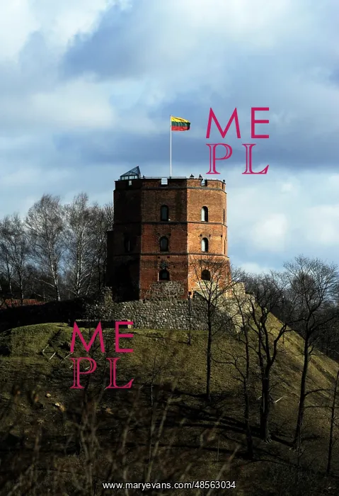 : Gediminas Tower. Vilnius. Lithuania : Gediminas Tower. Vilnius. Lithuania