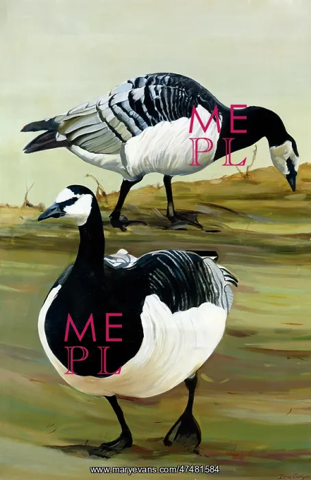  : Geese (58 x 38)