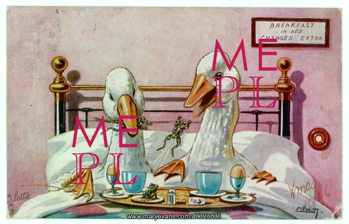  : GEESE IN BED