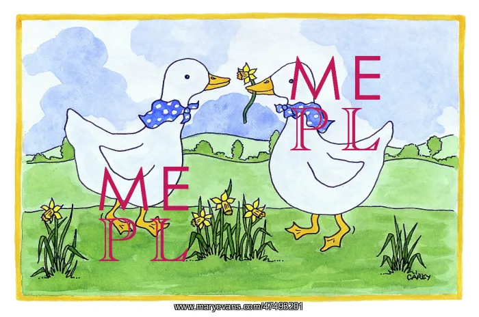: Two Geese, one with a daffodil in its beak : Two Geese, one with a daffodil in its beak