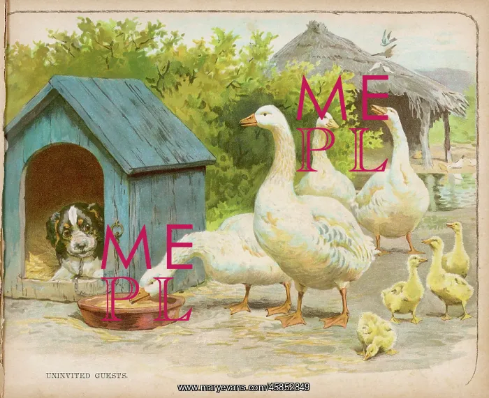  : GEESE AND DOG