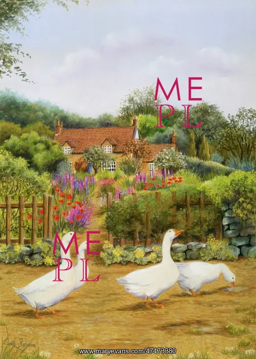 : Four Geese outside a country cottage : Four Geese outside a country cottage