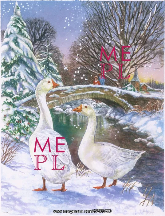 : Two geese on a snowy riverbank : Two geese on a snowy riverbank