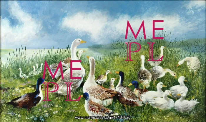 : The Geese on a Sunny Day : The Geese on a Sunny Day