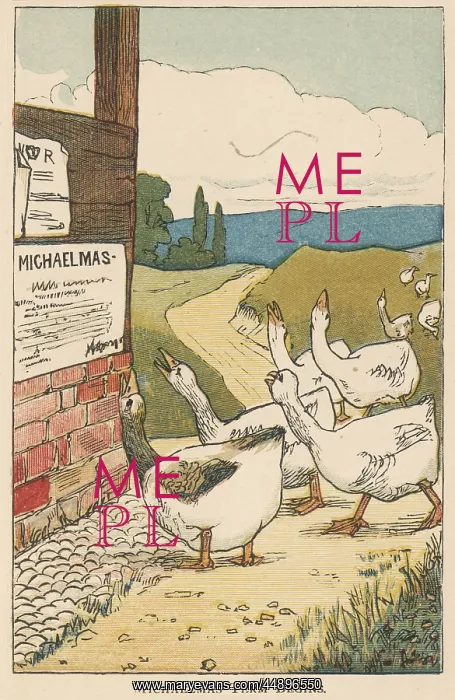: Geese unhappy at the arrival of Michaelmas : Geese unhappy at the arrival of Michaelmas