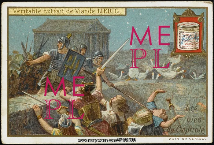 : GEESE WARN ROME OF GAULS : GEESE WARN ROME OF GAULS