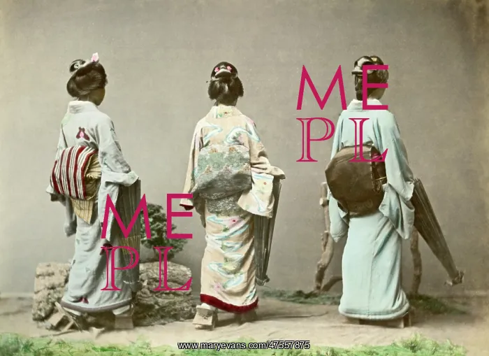  : Geishas showing Obi Sashes, Japan