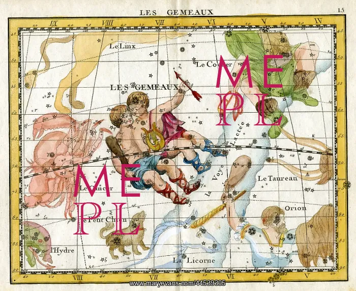  : Gemini