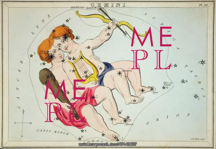: Gemini. Astronomical chart showing the twins Castor and Pollux forming the constellation : Gemini. Astronomical chart showing the twins Castor and Pollux forming the constellation