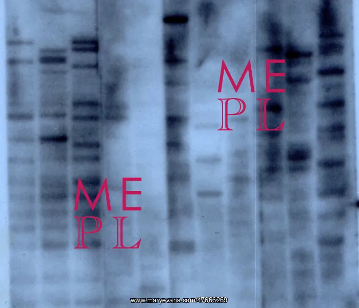 : Gene Mapping, DNA Fingerprint by Alec Jeffreys : Gene Mapping, DNA Fingerprint by Alec Jeffreys