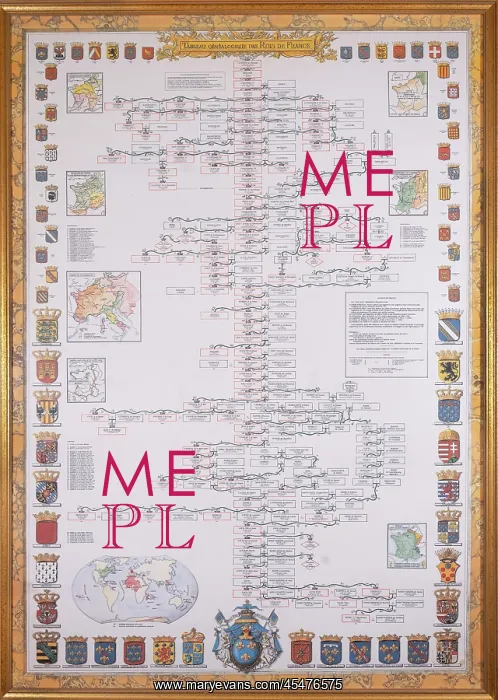 : Genealogical chart, Chateau de Brissac : Genealogical chart, Chateau de Brissac