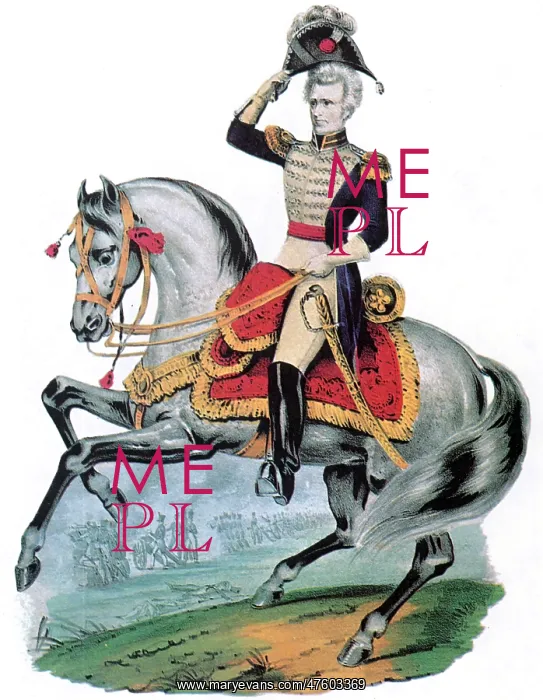 : General Andrew Jackson, Hero of New Orleans : General Andrew Jackson, Hero of New Orleans
