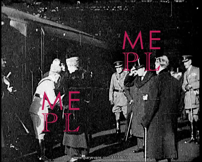 : General Armando Diaz Being Greeted By Field : General Armando Diaz Being Greeted By Field