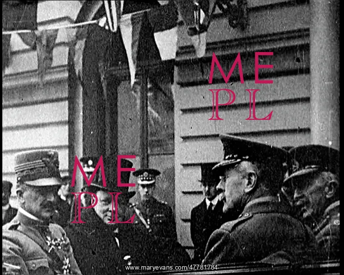 : General Armando Diaz Sitting in a Carriage : General Armando Diaz Sitting in a Carriage