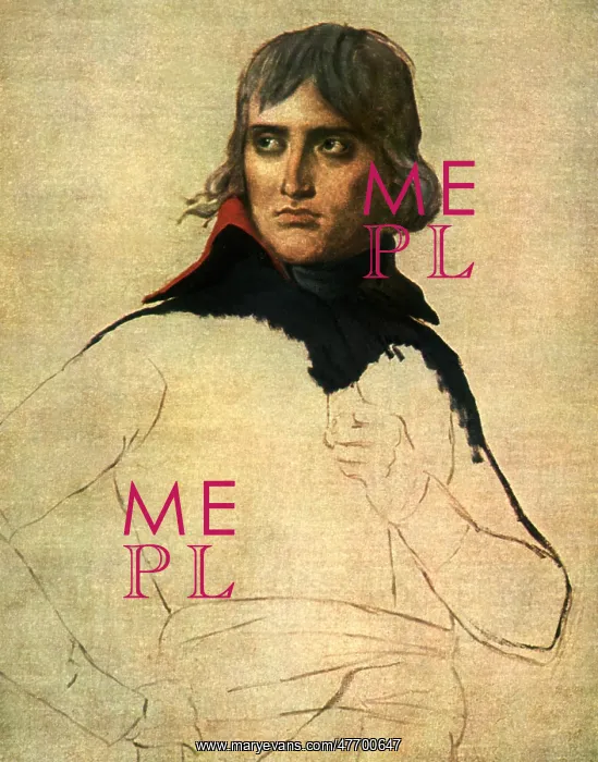 : General Bonaparte, by Jacques-Louis David : General Bonaparte, by Jacques-Louis David